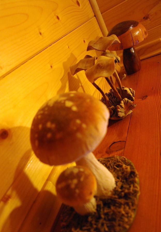 Chalet House Olga Crni Lug Quarto foto